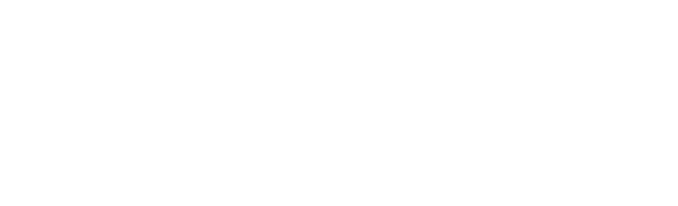 Transylvania Angels Network logo